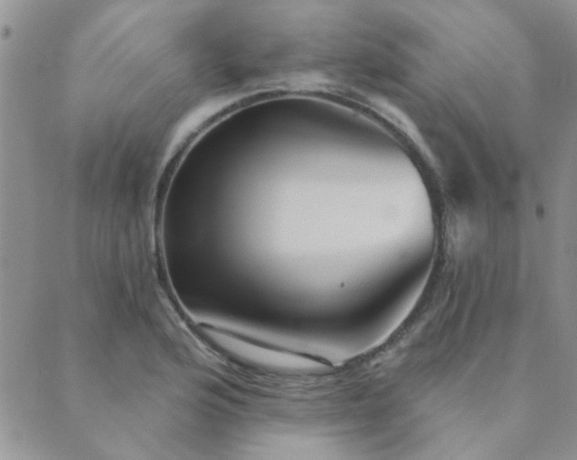 X0000089721176200706211401