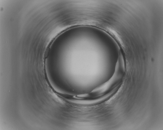 X0000089721184200706211401
