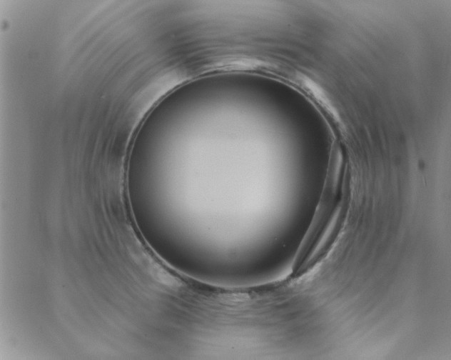 X0000089721186200706211401