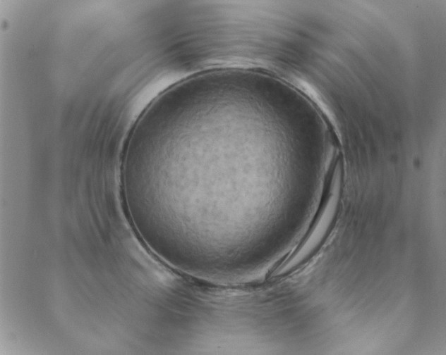 X0000089721187200706211401