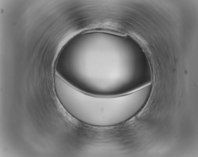 X0000089721200200706211401