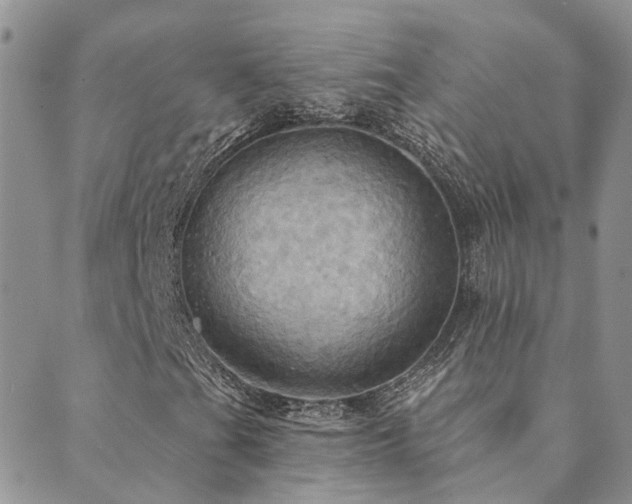 X0000089721201200706211400