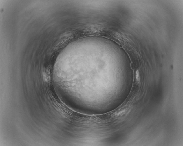 X0000089721203200706211400