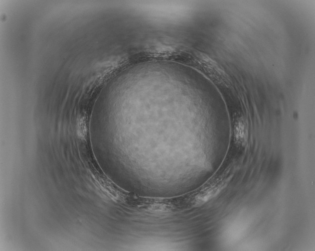 X0000089721204200706211400