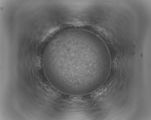 X0000089721205200706211400