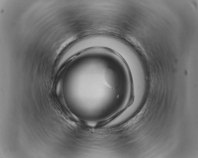 X0000089721210200706211400