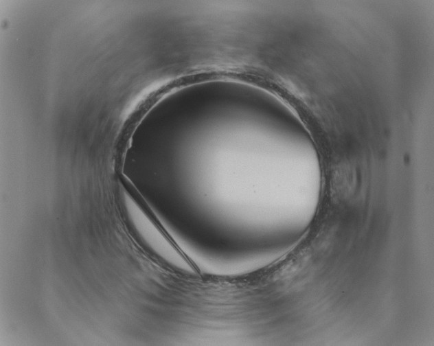X0000089721214200706211400