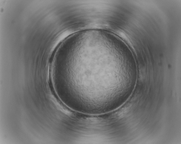 X0000089721227200706211400