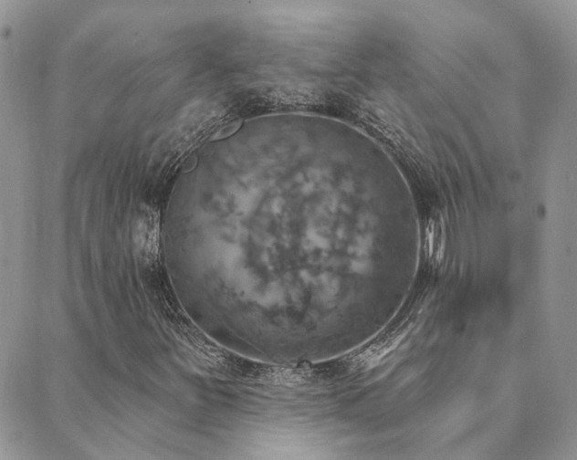 X0000089721251200706211400