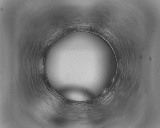 X0000089721252200706211400