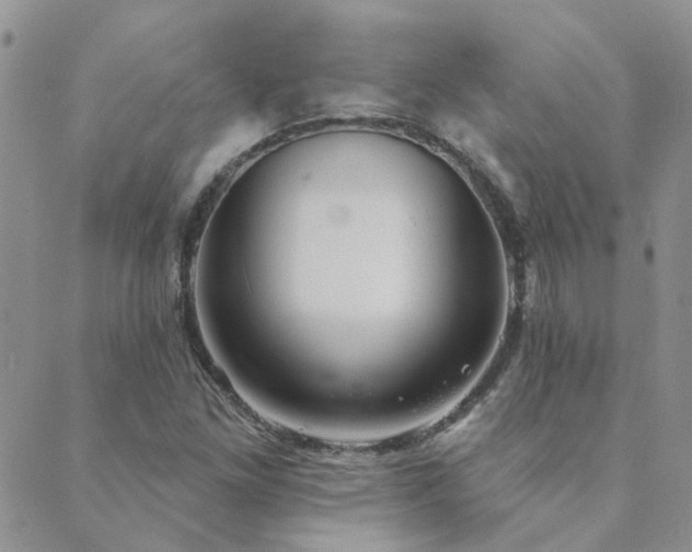 X0000089721261200706211400