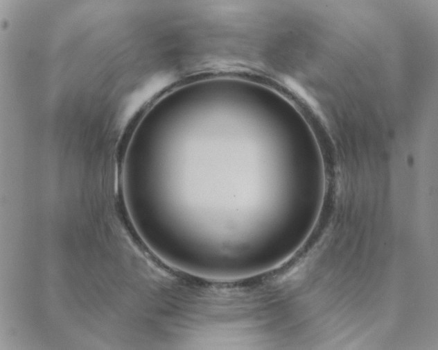 X0000089721269200706211359