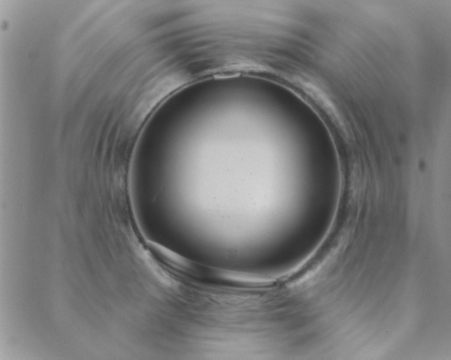 X0000089721281200706211359