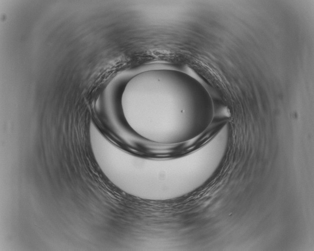 X0000089721298200706211358