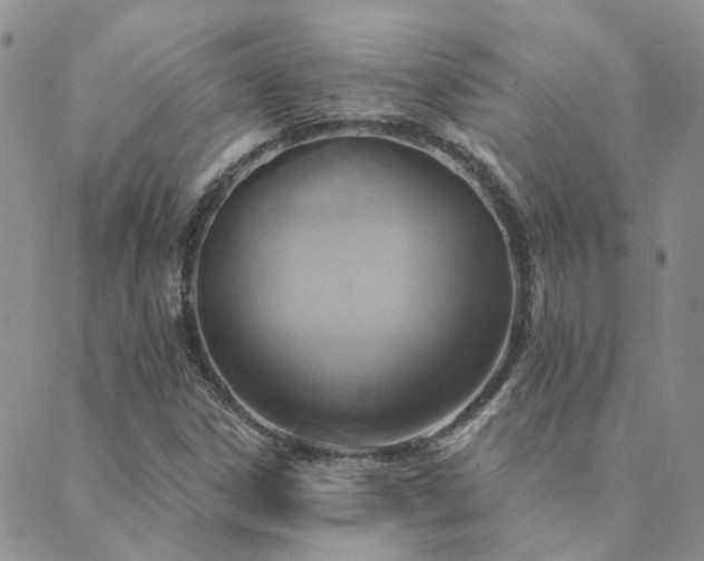 X0000089721306200706211358
