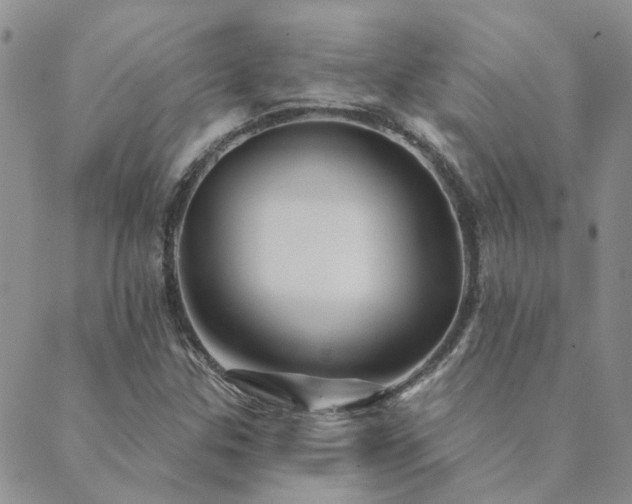 X0000089721307200706211358