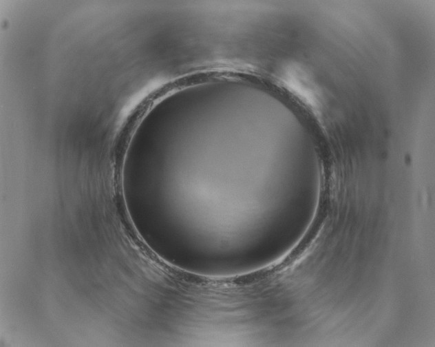 X0000089721310200706211358