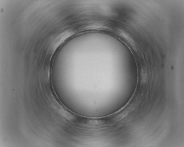 X0000089721322200706211359