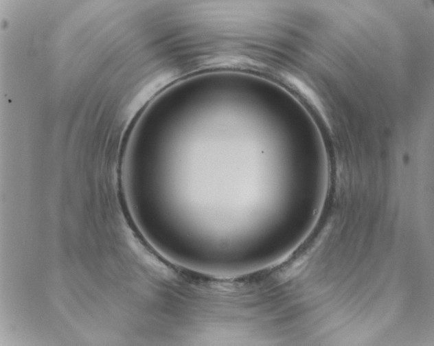 X0000089721330200706211359
