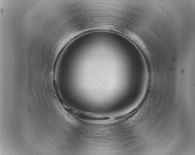 X0000089721332200706211359