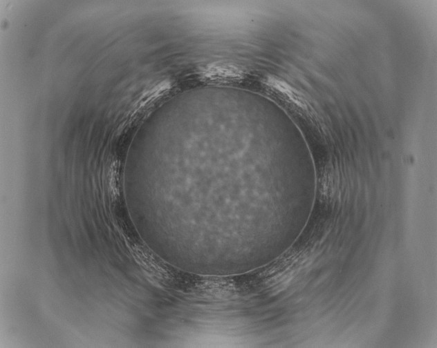 X0000089721346200706211358