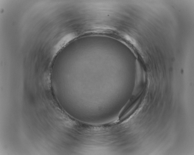 X0000089721362200706211358