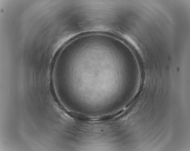X0000089721364200706211358