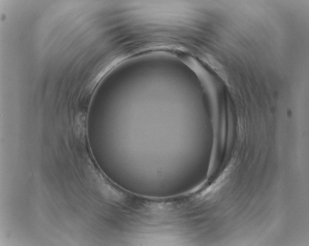 X0000089721369200706211358