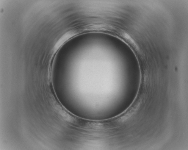 X0000089721370200706211358
