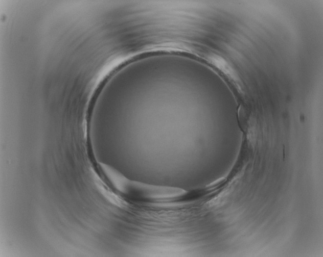 X0000089721372200706211358