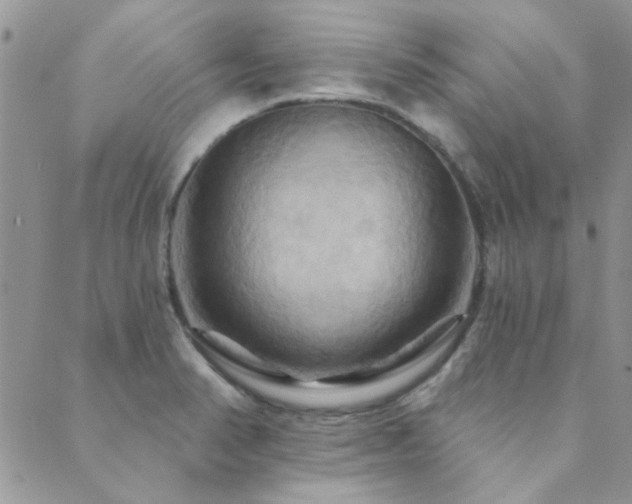 X0000089721374200706211358