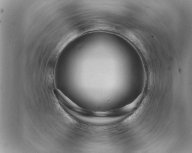 X0000089721377200706211358