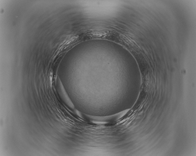 X0000089721394200706211357