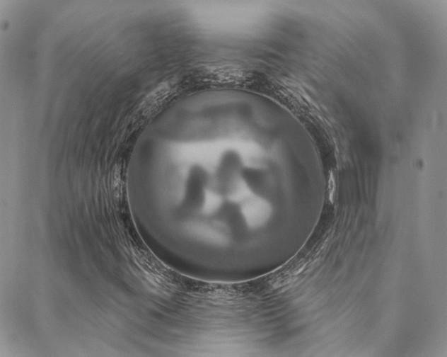 X0000089721395200706211357