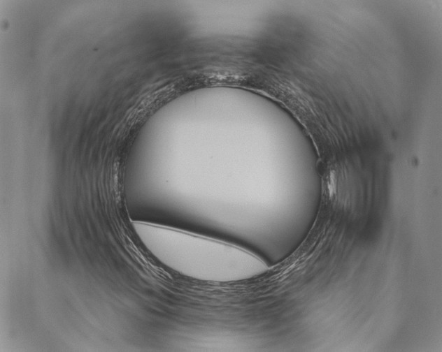 X0000089721396200706211357