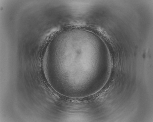 X0000089721398200706211357