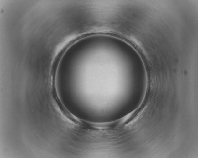 X0000089721414200706211357