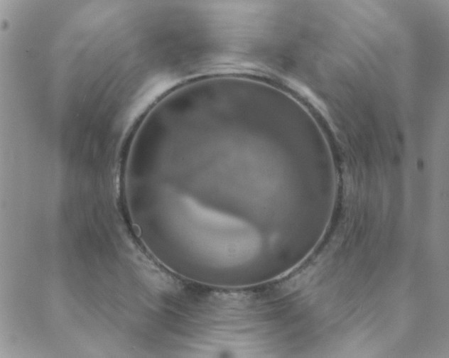X0000089721415200706211357