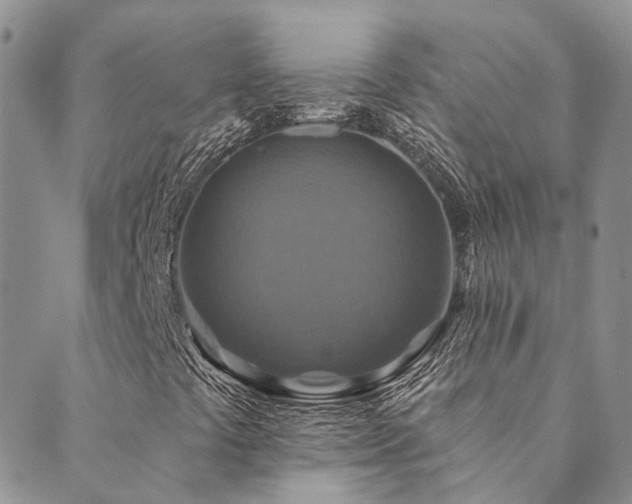X0000089721441200706211357