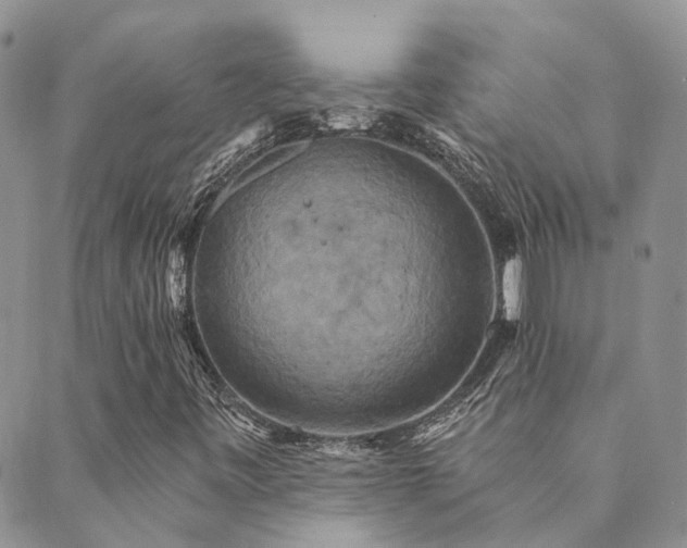 X0000089721443200706211357