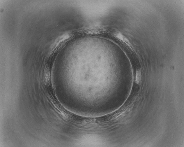 X0000089721444200706211357