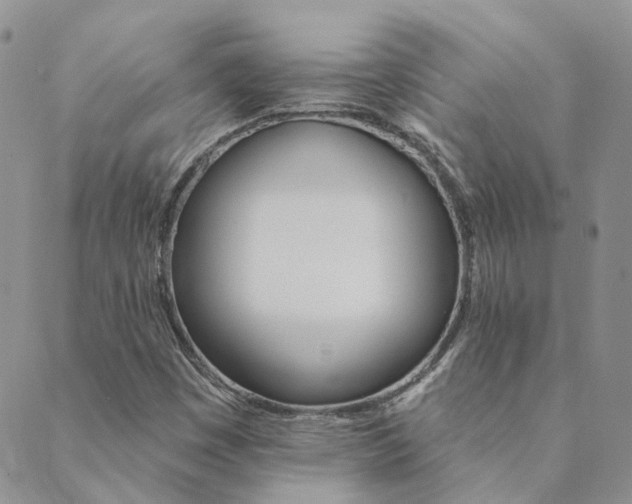 X0000089721449200706211356