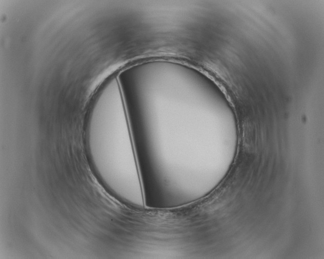X0000089721452200706211356