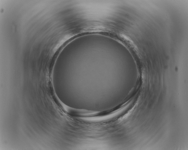 X0000089721457200706211356