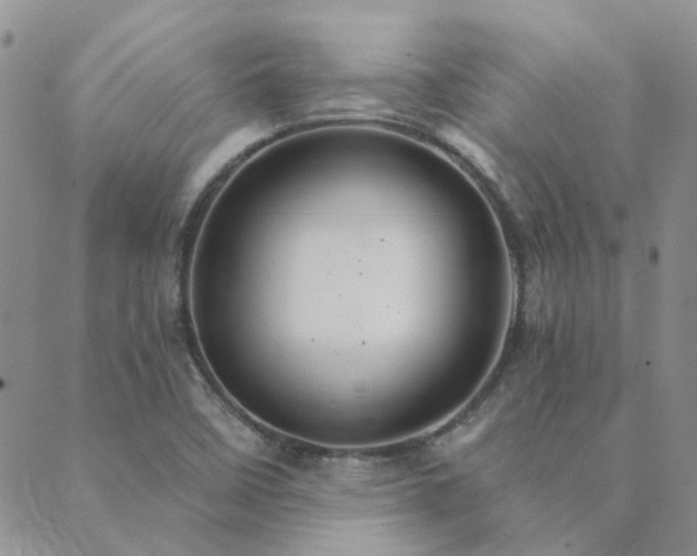 X0000089721458200706211356
