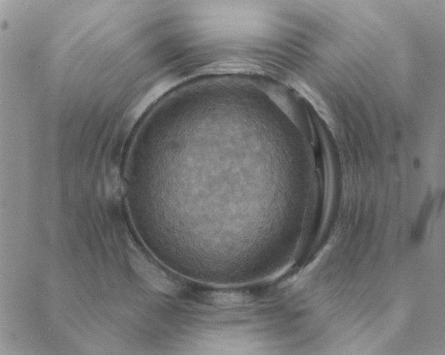 X0000089721465200706211356