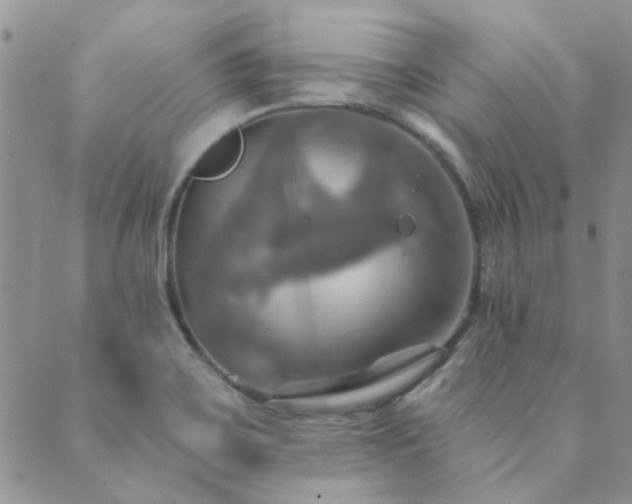 X0000089721467200706211356