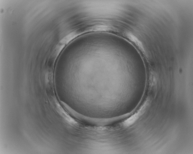 X0000089721473200706211356