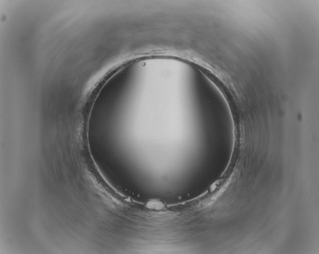 X0000089721502200706211355