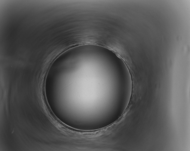 X0000089720001200706281539